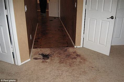 Jodi Arias trial: Pictures of grisly crime scene where Travis。